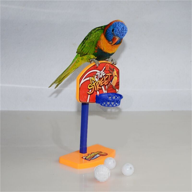 New 3pcs Balls Pet Birds Chew Toy Parakeet Bell Balls Parrot Toys Birdie Basketball Hoop Props Pet Parrot Pet Products Supplies