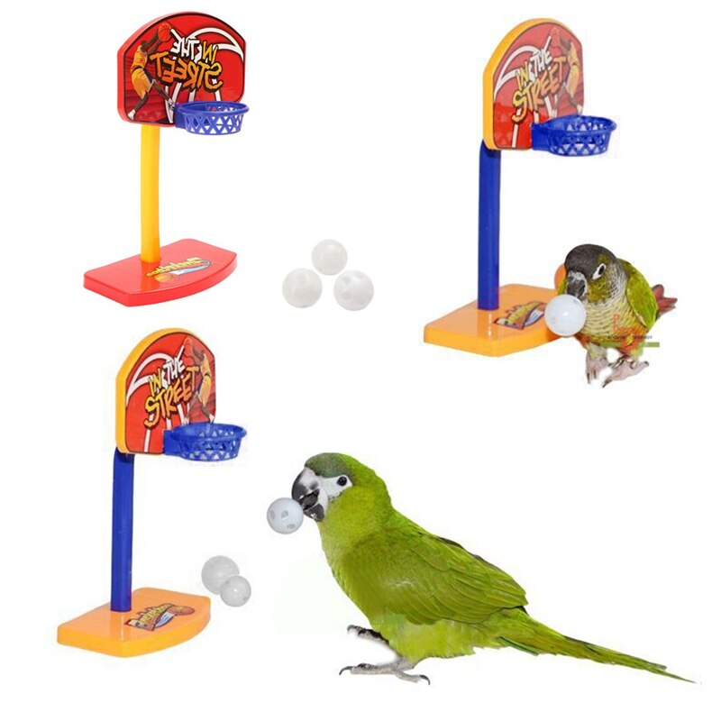 Nuevo 3 uds bolas mascotas pájaros masticar juguete periquito campana bolas loro juguetes Birdie baloncesto aro accesorios mascota loro productos para mascotas suministros